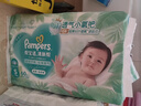 帮宝适夏季超薄超吸新清新帮纸尿裤S60透气新生儿婴儿尿不湿尿布 实拍图