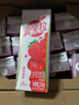 蒙牛真果粒草莓味牛奶饮品250g*12盒  礼盒新老包装 含乳饮料端午礼盒 实拍图