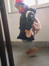 保姆鹅  【风墙】儿童羽绒服宝宝中长款护脸加厚外套保暖童装[NG2664] 炭黑 140 实拍图