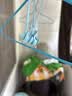美津浓（MIZUNO）游泳耳塞防水中耳炎带挂绳防丢泳镜成人儿童硅胶堵耳装备N2001蓝 实拍图