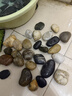 寿禾 鹅卵石石头大块水族箱鱼缸盆栽装饰铺路 2-4cm天然精抛鹅卵石1kg 实拍图