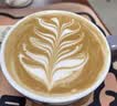 伊利【新鲜日期】金典纯牛奶整箱 200ml*12盒 3.6g乳蛋白端午礼盒 3月 实拍图
