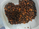 愛肯拿（ACANA）猫粮 牧场盛宴成猫幼猫粮 高蛋白无谷进口鸡肉粮5.4kg 效期27/5 实拍图