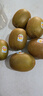 佳沛（zespri）新西兰金果巨大果15粒 单果146-175g 端午节礼物水果礼盒 猕猴桃 实拍图