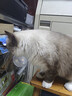 LEGENDSANDY蓝氏狗粮真鲜乳鸽中小型犬生骨肉冻干鲜肉犬粮6.18kg【囤货装】 实拍图