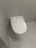 恒洁（HEGII）智能马桶H33B脚感轻音无水压带水箱坐便器HCE899A01-305免费送装 实拍图