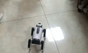 麦格萌儿童玩具3-6岁遥控智能机器狗ai编程机器人12岁以上男孩生日礼物 AI智能仿生狗【语音遥控双控+学习百科+唱歌跳舞】 61六一儿童节礼物2026年最火的玩具新年男女生5-7-14 实拍图