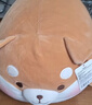 名创优品（MINISO）趣味阿柴弹力超柔趴姿公仔毛绒玩偶儿童玩具抱枕靠枕生日礼物女 实拍图