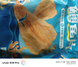 金鹏鳕鱼片500g现烤鱼片儿童孕妇即食鱼干休闲健康零食威海海鲜特产 鲜烤鱼片250g*2袋 实拍图