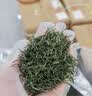 八窨飘雪茶叶绿茶毛尖 2026新茶春茶自己喝大份量口粮茶四川云雾袋装500g 实拍图