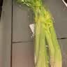 大芹菜约400g 实拍图