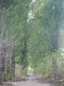 惠舟【秒贴2片装】荣耀手机钢化膜防窥无尘仓全屏保护膜适用 荣耀magic6pro/至臻版丨曲面屏 电镀超清款丨2套装 实拍图