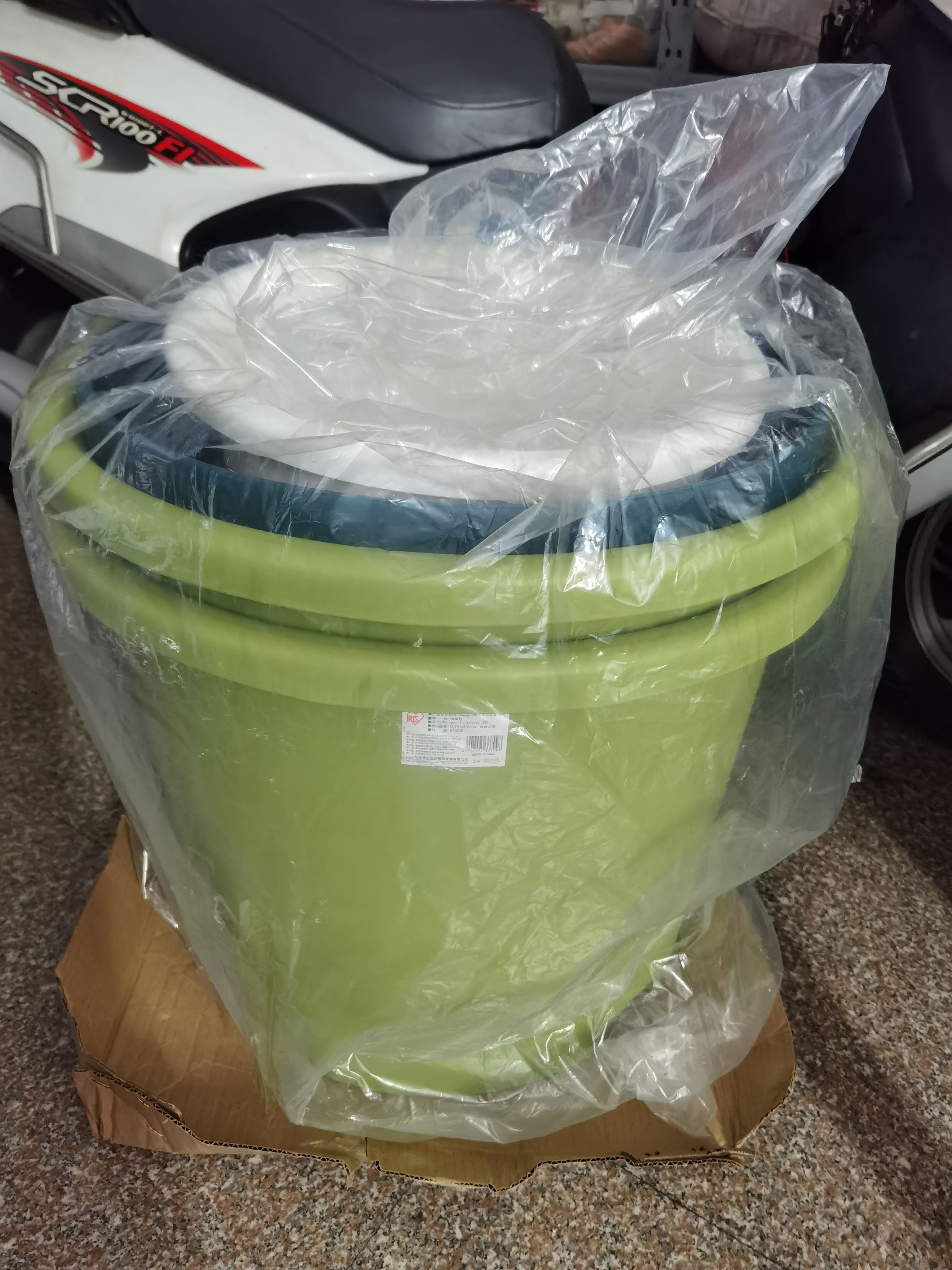 爱丽思（IRIS）Deepot花盆加厚树脂控根圆口绿萝绣球月季多肉发财树塑料加仑花盆 6号白色(口径约20.3cm)约3L 实拍图