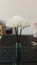 八海鸟挥发棒香薰散香条花露水无火香薰精油配件高端纤维花露水扩香棒 实拍图