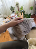 网易严选猫湿粮零食浓汤大口肉罐头鸡肉+三文鱼 85g*24罐 实拍图