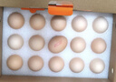 圣迪乐村OMEGA-3营养蛋鲜鸡蛋含DHA20枚礼盒装净重2斤 牛奶搭档源头直发 实拍图