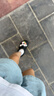 卡骆驰（CROCS）檀健次同款经典洞洞鞋轻便百搭女沙滩鞋包头拖鞋男鞋|10001 黑色-001(含智必星) 39 (240mm) 实拍图
