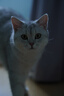 适马（SIGMA）56mm F1.4 DC DN｜Contemporary 半画幅大光圈定焦镜头 人像特写（适马56 f1.4索尼E卡口） 实拍图