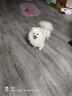 处方粮LF22促消化高能量成犬低脂易消化全价处方粮配方粮1.5KG*3 实拍图