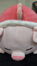 名创优品（MINISO）小猪B-BO锦鲤趴姿毛绒公仔玩具玩偶抱枕靠枕娃娃生日礼物女 实拍图