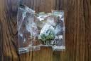 三只松鼠陈皮梅有葡萄100g蜜饯果干果脯梅子酸甜儿童休闲零食小吃 实拍图