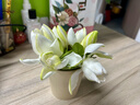 立顿经典茶包混合装 绿茶茉莉乌龙伯爵红茶 5种口味125包232.5g 实拍图
