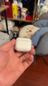 品胜 适用于AirPods三代保护套 AirPods3耳机保护套透明软壳全包防摔减震防滑抗指纹 含挂绳 实拍图