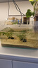 松宝鱼缸过滤器外置壁挂式过滤盒小型鱼缸专用水循环净水静音滴流盒 【升级带盖】3盒滤仓+滤材套餐+水泵 实拍图