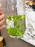 醉茗山2026年明前新茶 龙井500克正宗杭州豆香绿茶鲜芽嫩芽浓香型散装 实拍图