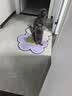 藻趣儿 狗粮 通用全价犬粮小中大型犬泰迪柯基金毛拉布拉多 【均衡营养】成犬粮 15kg 实拍图