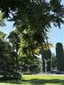 新良纯享低筋面粉500g*2袋 低筋小麦粉 烘焙原料 蛋糕用纸包装面粉 实拍图