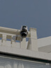 HIKVISION海康威视4G摄像头终身免流量12倍光学变焦 室外户外监控器 双400万像素全彩夜视 无线联网无需WIFI 实拍图