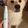 先锋（SINGFUN）宠物剃毛器猫咪专用剃脚毛器静音狗狗脚毛修剪器宠物店局部推子小猫猫爪一体机电推剪【价保618】 实拍图