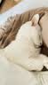 妙多乐室内全价成猫粮10kg幼猫均衡营养流浪猫加菲折耳大猫雀巢旗下 室内成猫粮10kg 10kg 实拍图