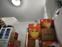 汾酒 黄盖玻汾*8瓶 清香型白酒 实拍图