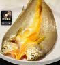 黄小渔宁德黄鱼鲞400g/3条 三去大黄鱼黄花鱼生鲜 海鲜水产烤鱼烧烤食材 实拍图