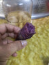 紫罗兰红薯沙地现挖紫薯宝宝辅食紫芋头山芋苕粗粮新鲜包邮 紫罗兰紫薯9斤中小果 含箱 实拍图