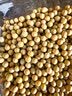 燕之坊黄豆 2斤可发豆芽打豆浆东北大豆五谷杂粮 实拍图