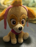 汪汪队立大功（PAW PATROL）毛绒玩具陪睡玩偶经典款天天中号坐姿公仔男女孩儿童生日礼物 实拍图