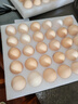 京鲜生 无抗保洁鲜鸡蛋30枚/盒 健康轻食 礼盒送礼 1.5kg/盒 源头直发 实拍图