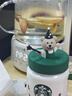 小质价保618养生壶1.5L全玻璃花茶壶0胶水0金属恒温煮茶器办公室热牛奶神器保温壶家用烧水壶电热水壶 实拍图