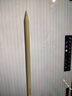 Apple/苹果 Pencil Pro 磁吸触控笔手写笔苹果笔电容笔书写绘画iPad笔 适用于iPad Pro/Air/mini机型 实拍图