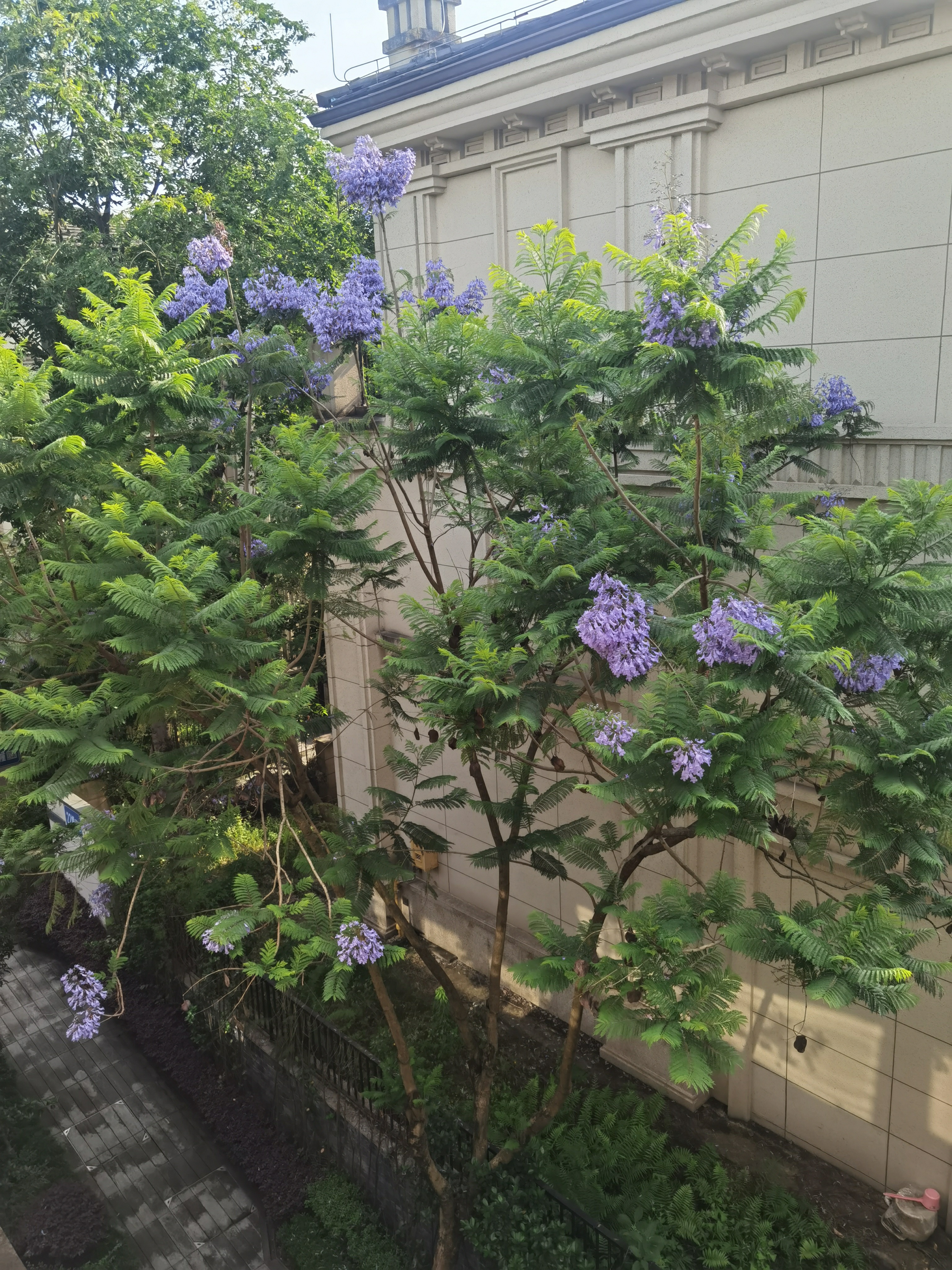 德力西喷雾器喷壶打药机神器农用小型消毒家用浇花农药喷水壶喷枪喷洒 5L特厚款+原厂喷杆+肩带 实拍图