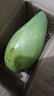 京喜加海南鲜芒果小台水果芒果新鲜上市 带箱1斤【单果70g+】净重0.8斤 实拍图