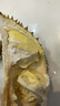 倩碧小雏菊腮红08#3.5g珊瑚橘 高光修容提亮化妆品生日礼物送女友 实拍图