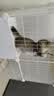 爱咪宠猫笼子家用猫窝别墅带厕所一体室内带猫砂盆大号幼猫猫屋猫咪笼子 快速训练小猫上厕所【70*35*73】 厕所款：猫砂盆和铲+逗猫棒+爬梯 实拍图