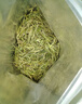 陈一凡 雀舌茶叶2026新茶明前贵州原产雀舌茶湄潭毛尖袋装250g自己喝 贵州湄潭雀舌 250g*1包 实拍图