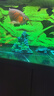 异景园鱼缸仿真假山造景装饰石头布景套餐水族箱大小树脂摆件躲避洞松石 TJ25-麒麟山 实拍图