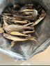 香海 黄鱼酥2斤量贩装1kg  温州特产肉干肉脯休闲零食黄鱼酥小吃 实拍图