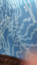 尚烤佳（Suncojia）无烟烧烤碳果木炭烧烤炭火锅围炉煮茶取暖烤肉苹果木炭原木炭5斤 实拍图